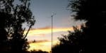 Stressed Moxon Sunset